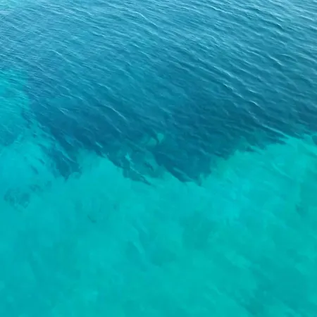 Salt ドゥルヴェニック・マリ