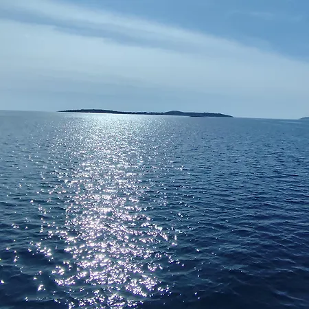 Salt Lägenhet Mali Drvenik